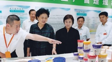 原中共中央政治局委員、國務(wù)院副總理劉延東視察我公司